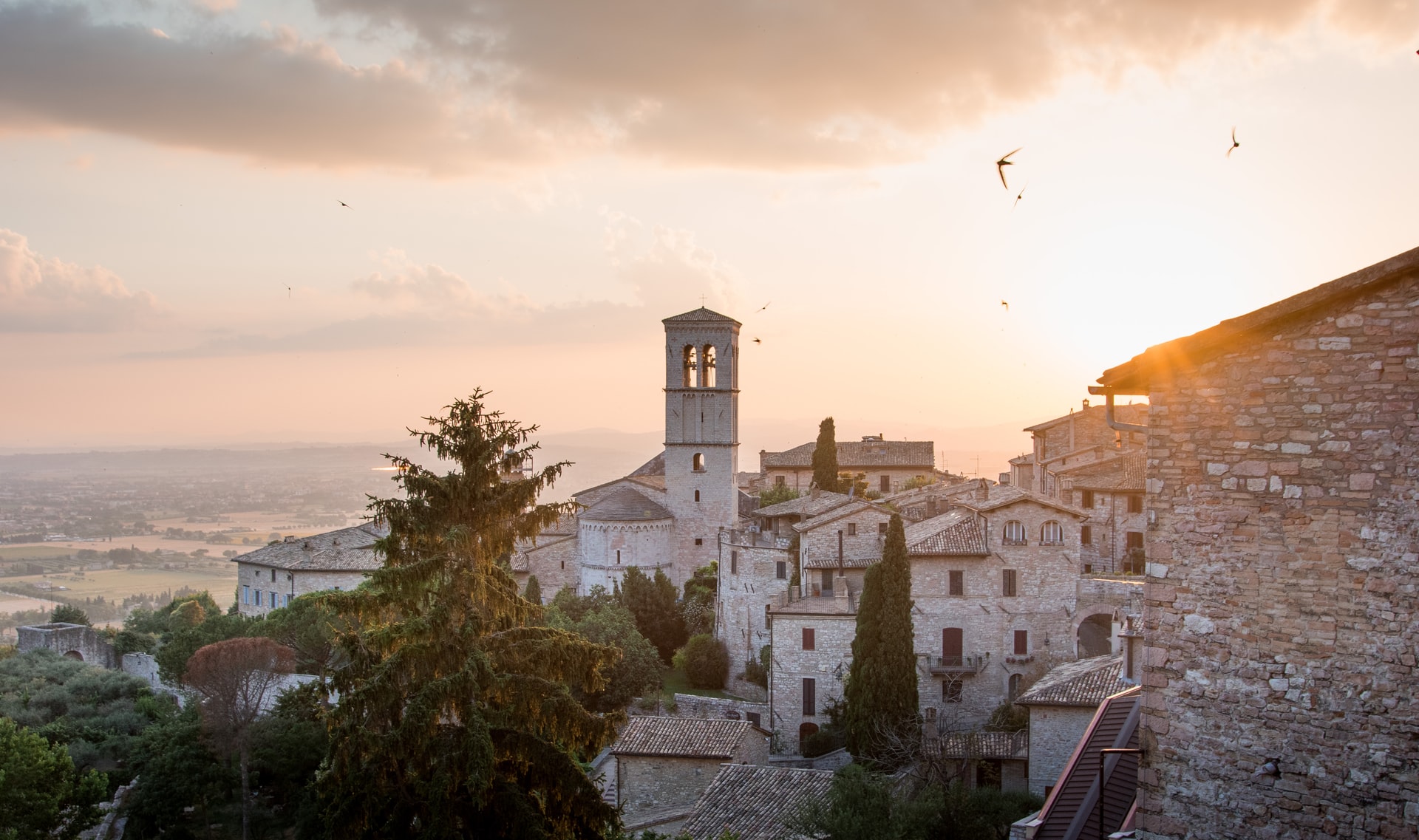 Photo by Lachlan Gowen on Unsplash