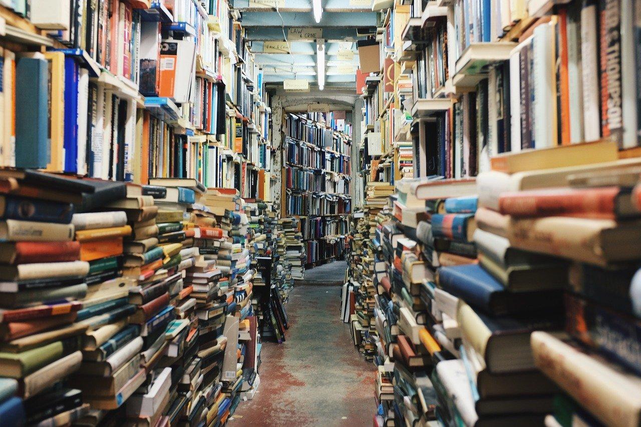 Biblioteche, Online Il Bando Da 30 Mln Per Acquisti In Librerie Di Prossimità